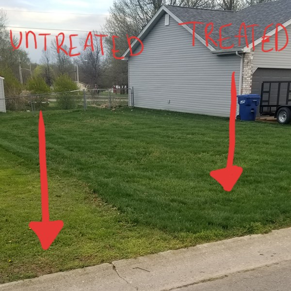 Picture showing an unfertilized yard on left and a fertilized lawn on right. The fertilized lawn is much greener and healthier looking.